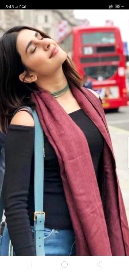 Pakistani Celebs image