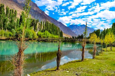 Beautiful Nature image