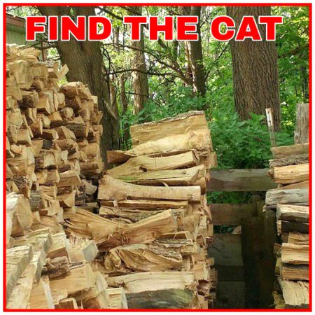 Riddles & Puzzles image