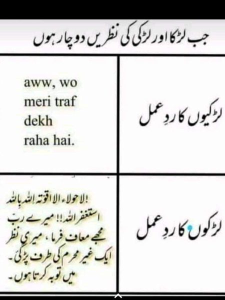 ___🙋__