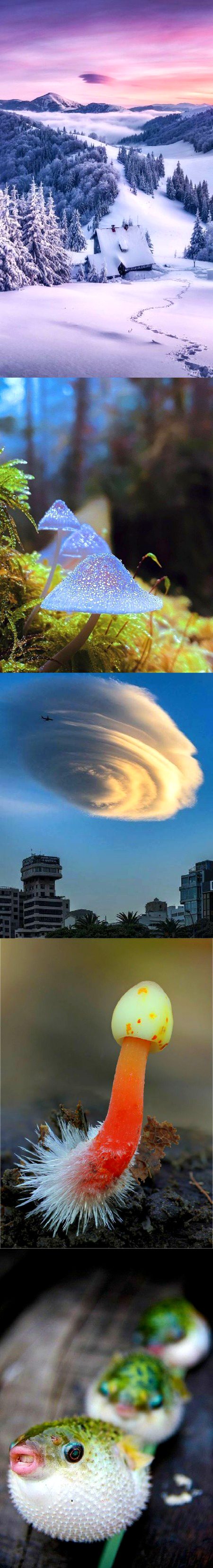 Beautiful Nature image