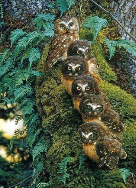 Beautiful Nature image