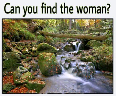 Riddles & Puzzles image