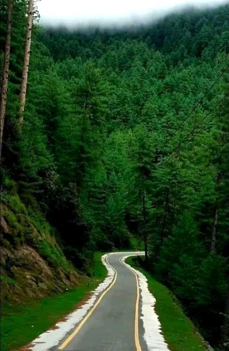 Beautiful Nature image