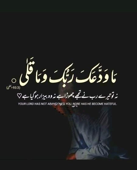 Islamic Quotes image