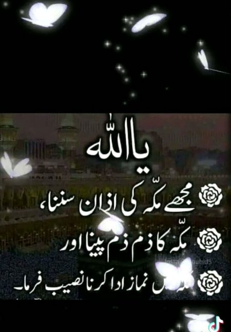 Aamin YA RABBUL AALAMIN 🤲