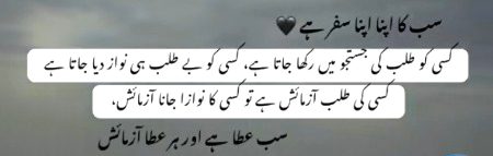 Sach ha