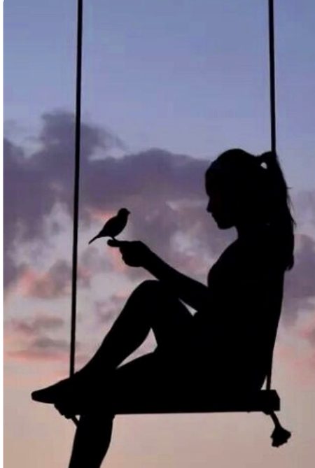 Beautiful Nature image