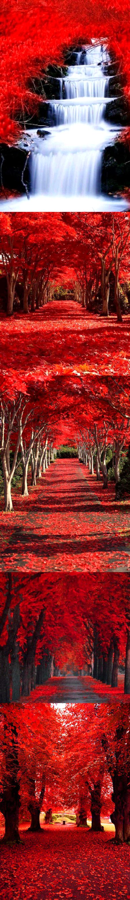 Beautiful Nature image