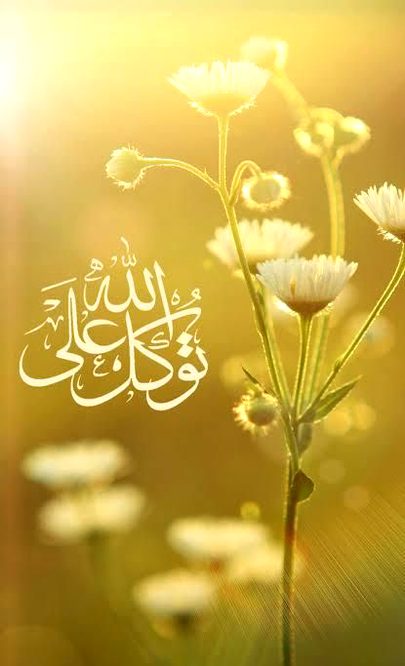 *سنیں کیوں اتنا پریشان ہوتے ہیں .... !!! ہمارا اللہ بہت مہربان اور رحیم ہے وہ اپنے بندوں کو تنہا نہیں چوڑتا ..... !!! توکل رکھیں اپنے رب پر*