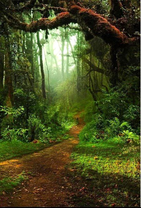 Beautiful Nature image