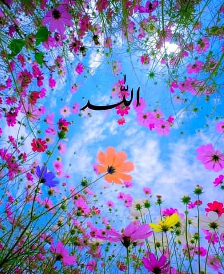 Islamic Quotes image