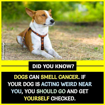 Interesting Posts image