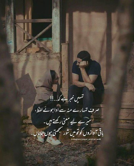 Koi category lga dy yr