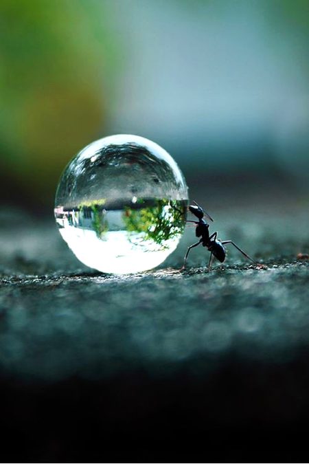 Beautiful Nature image