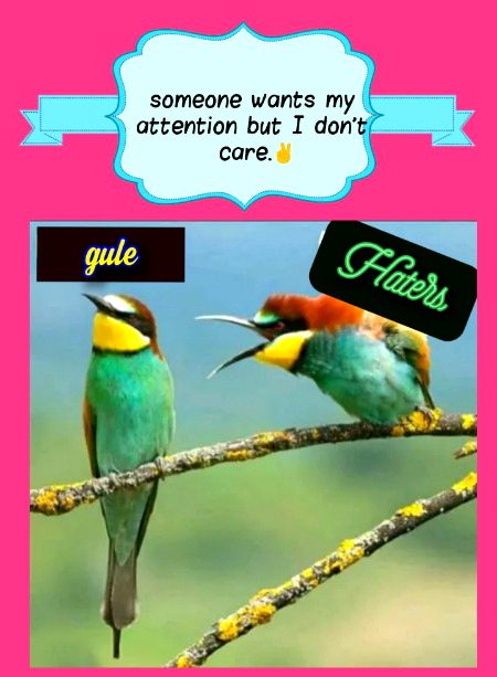 Attitude Quotes image