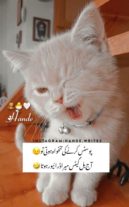 Jokes image