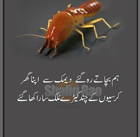 Attitude Poetry image