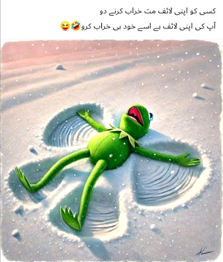 Memes & Satire image