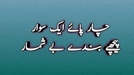 Riddles & Puzzles image