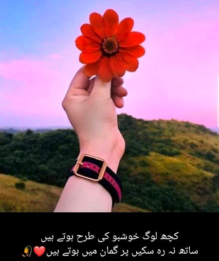 Romantic Poetry image