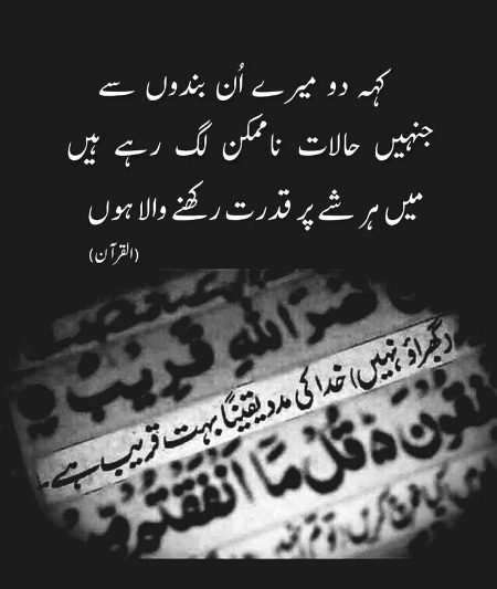 Beshak 🌺❣️🌺