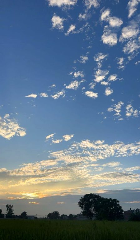 Beautiful Nature image