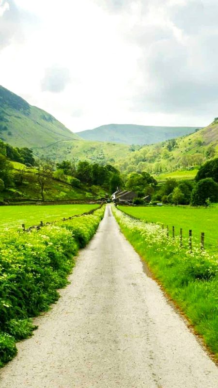 Beautiful Nature image