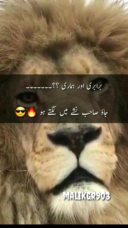 Attitude Poetry image