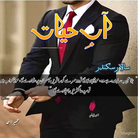 Romantic Novels image