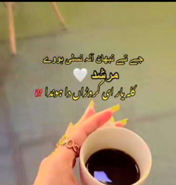 Saraiki 🥰