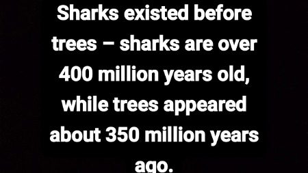 Interesting Posts image
