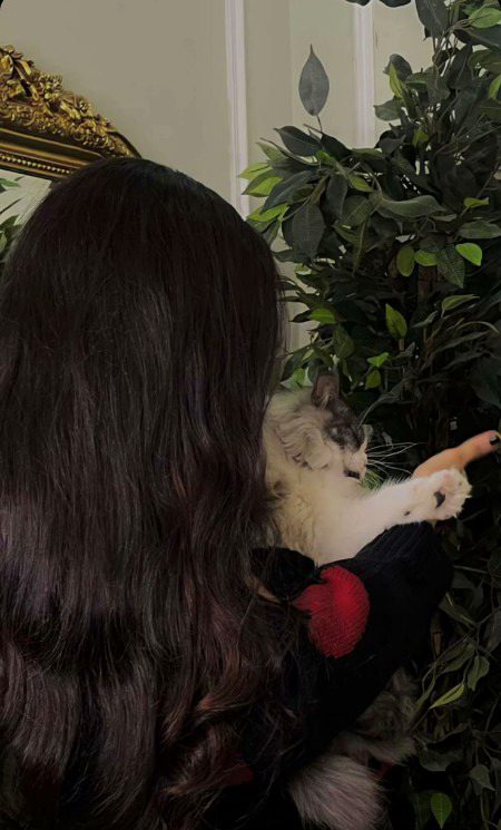 Beautiful Nature image