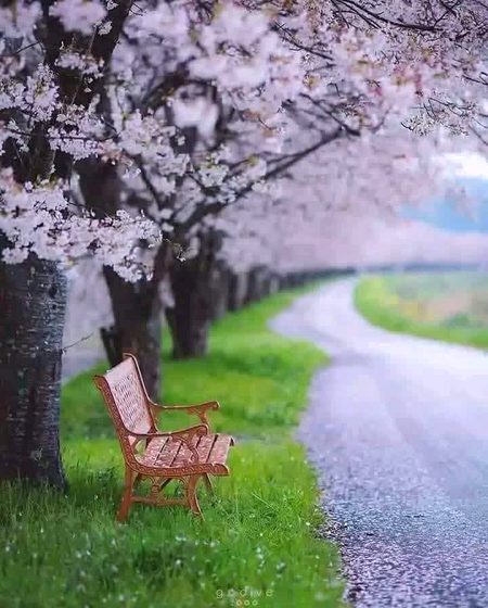 Beautiful Nature image