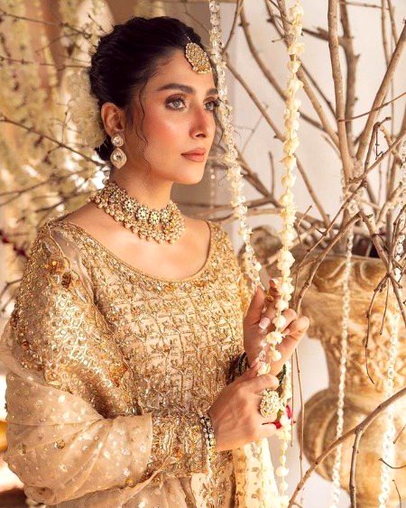 Pakistani Celebs image