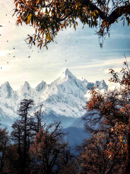 Beautiful Nature image