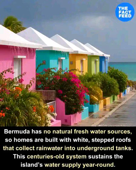 Interesting Posts image