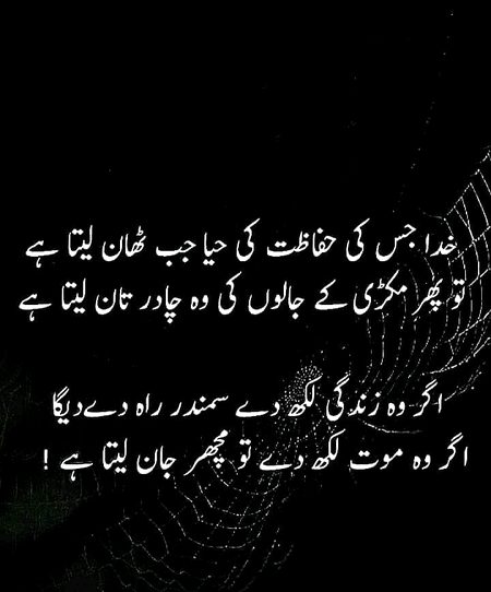 Islamic Quotes image