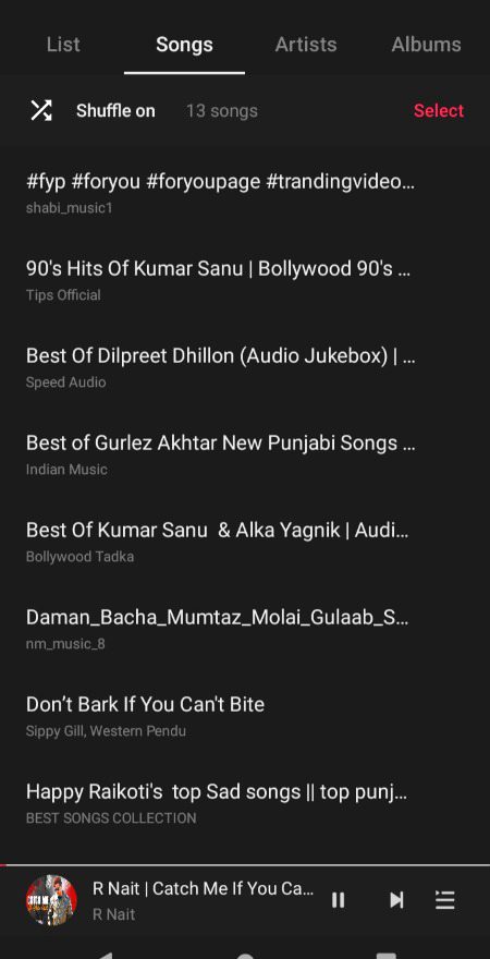 13 songs hn bs wo bhi Punjabi