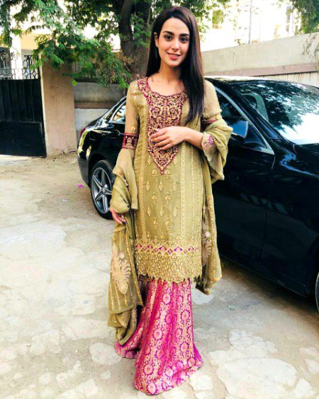 Pakistani Celebs image