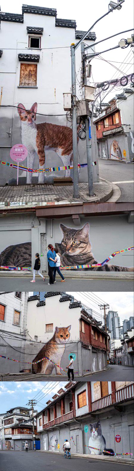 Street Art image