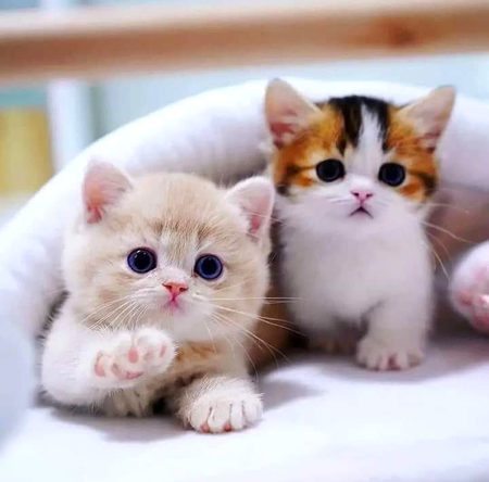 Beautiful Nature image