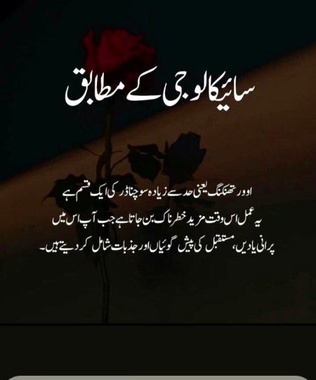 No caption