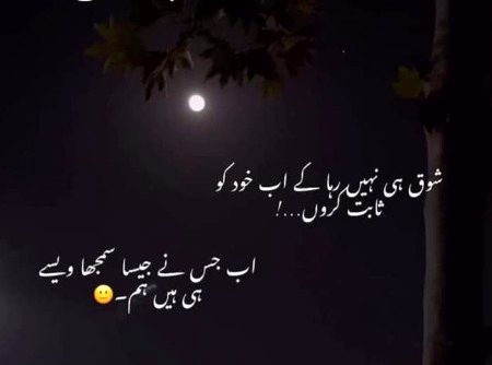 Attitude Poetry image