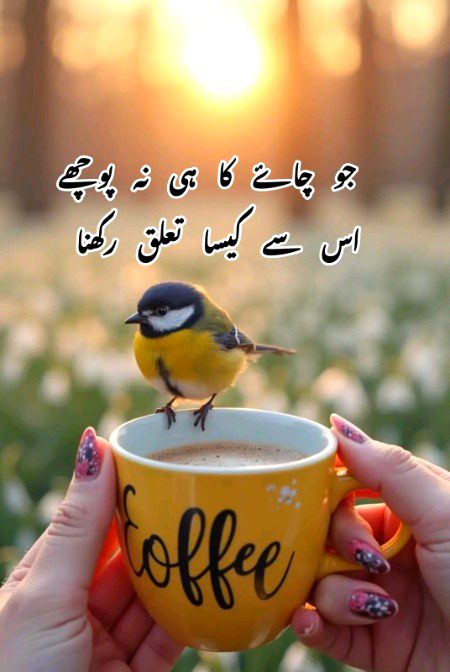 دل دے دیا ہے جان تمہیں دیں گے
مگر اپنی چائے نہیں دیں گے۔🥀☕