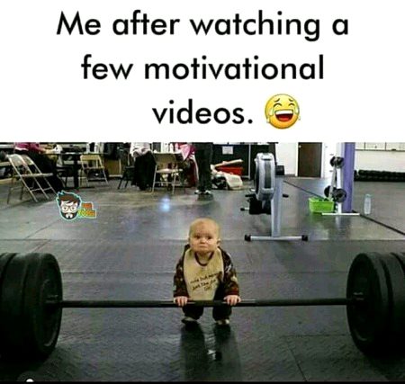 Memes & Satire image