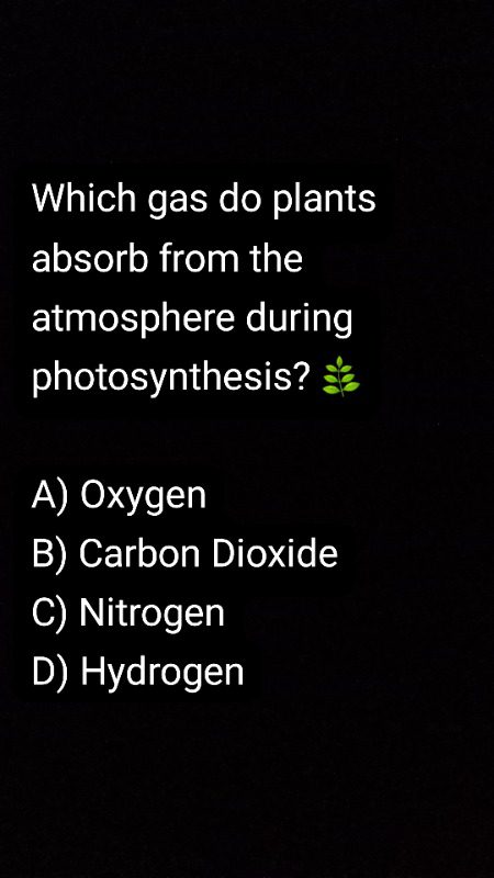 Knowledge Test image