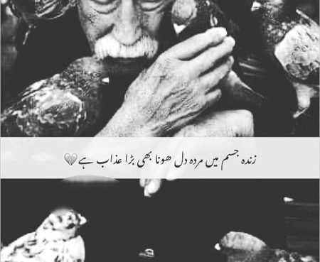 Rhgt😑😑😑