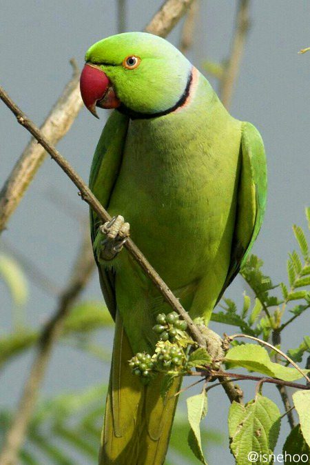 Beautiful Nature image