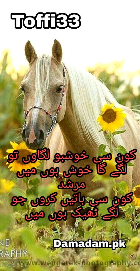 Romantic Poetry image